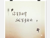 《自律的人，都拥有开挂的人生》读后感精选