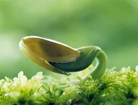 我在今天，期待明天