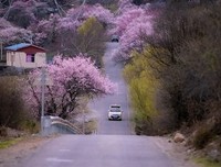 念的句子