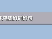 飞鸟集好词好句
