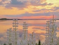 毛姆优美的句子