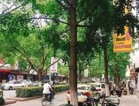 酒酣之后