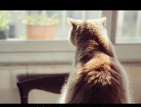 时光如水，总是无言