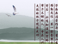 《无怨的青春》经典句子