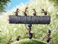 贰佰名言大全