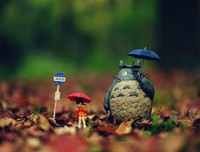 最新的姚若龙名言名句