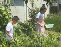 菜园子里的乐趣