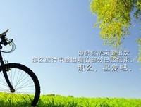 最新的网友经典名句