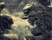 即使刮风下雨，也阻挡不了你们充满活力的生命