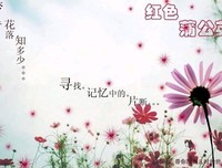 最经典的《梦里花落知多少》经典句子大全