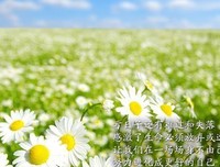 2017青春、已不在经典名句