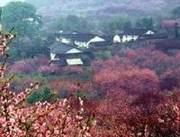 王艳萍：雨言