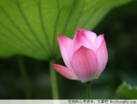 这才叫聪明