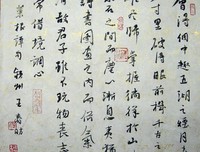 最新的《菜根谭》经典的句子