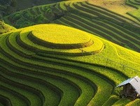 土地流转三十一广告牌