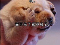 最新的《恶心》小说书摘