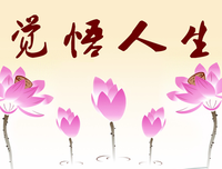羊和猫名言大全