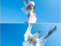 你好！再见！