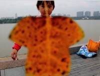 时间，请你回头