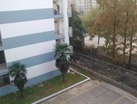 我的米顺