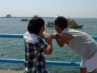 那个难忘的夏季