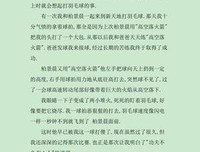 打羽毛球真有趣作文400字(精选10篇)