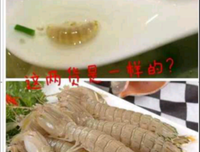 最新的皮皮名言名句
