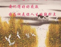 最经典的周传雄名言大全