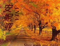《如果巴黎不快乐》小说句子