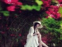 《欣赏的艺术》经典的句子