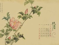 《木 槿》经典名句