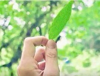 关于仔细的格言