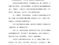 我喜欢小狗作文500字