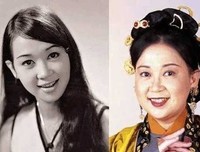 我家的小猫咪咪200字作文800字