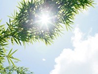 四分之一的感悟