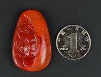 《琥珀》经典句子