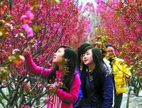 白坡的清晨，夏日的 期待 