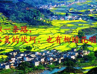 最经典的阿拉伯谚语精彩语录