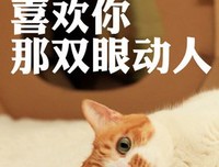 大美的名人名言