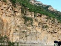 苍鹭与乌龟