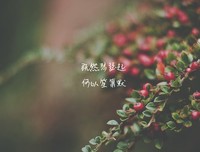 关于默笙的唯美句子