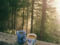 最新的《偷影子的人》小说摘抄