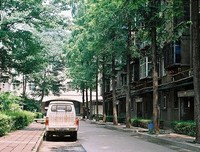 伽莫夫的语句摘抄_关于伽莫夫的语句