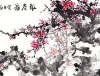 最新的《我与梅花两白头》经典的句子大全