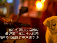 《你要去相信，没有到不了的明天》美文摘抄大全