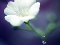 最经典的袁枚名言大全