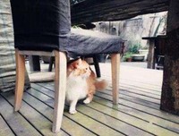 触心小诗丨我想和你虚度时光