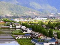 关于横冲直撞的语句