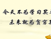 关于烂烂的名句摘抄