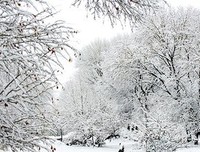 关于白雪皑皑名言名句